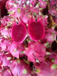 
100% FRESH DRAGON FRUIT EXPORT STANDARD PRICE FOR SALE HIGH QUALITY !!! 