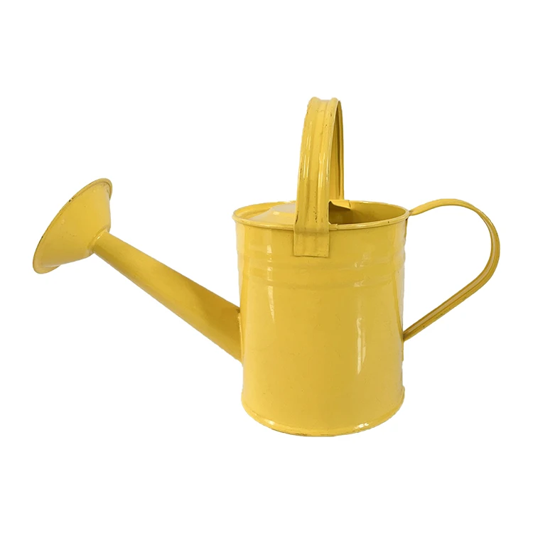 Garden watering tools 1L galvanized steel decor sprayer pump watering can