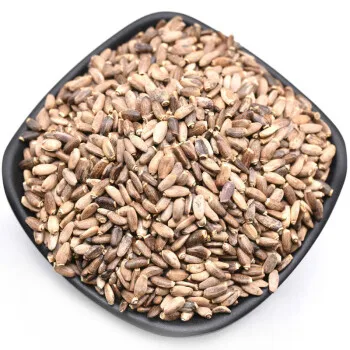 RICI Milk Thistle Seed/Flower Extract  Silybin 98 Powder Milk Thistle Dry Extract Silbin Powder