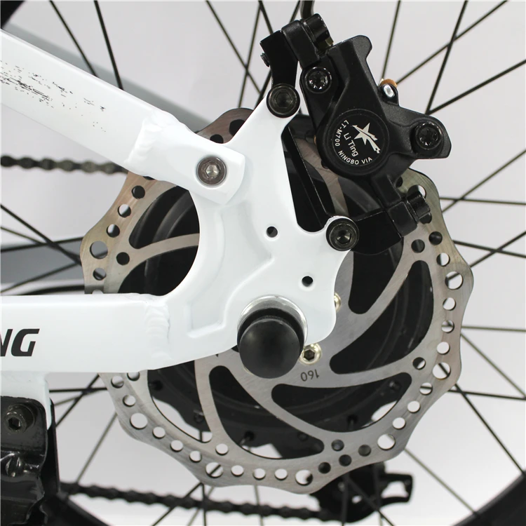 Electric Bike Bicycle Exercise Electric City Bike Folding Bicycle Ebike Road Bike