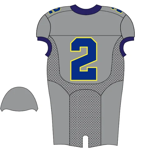 dongguan factory professional american football jersey custom made gray design team logo