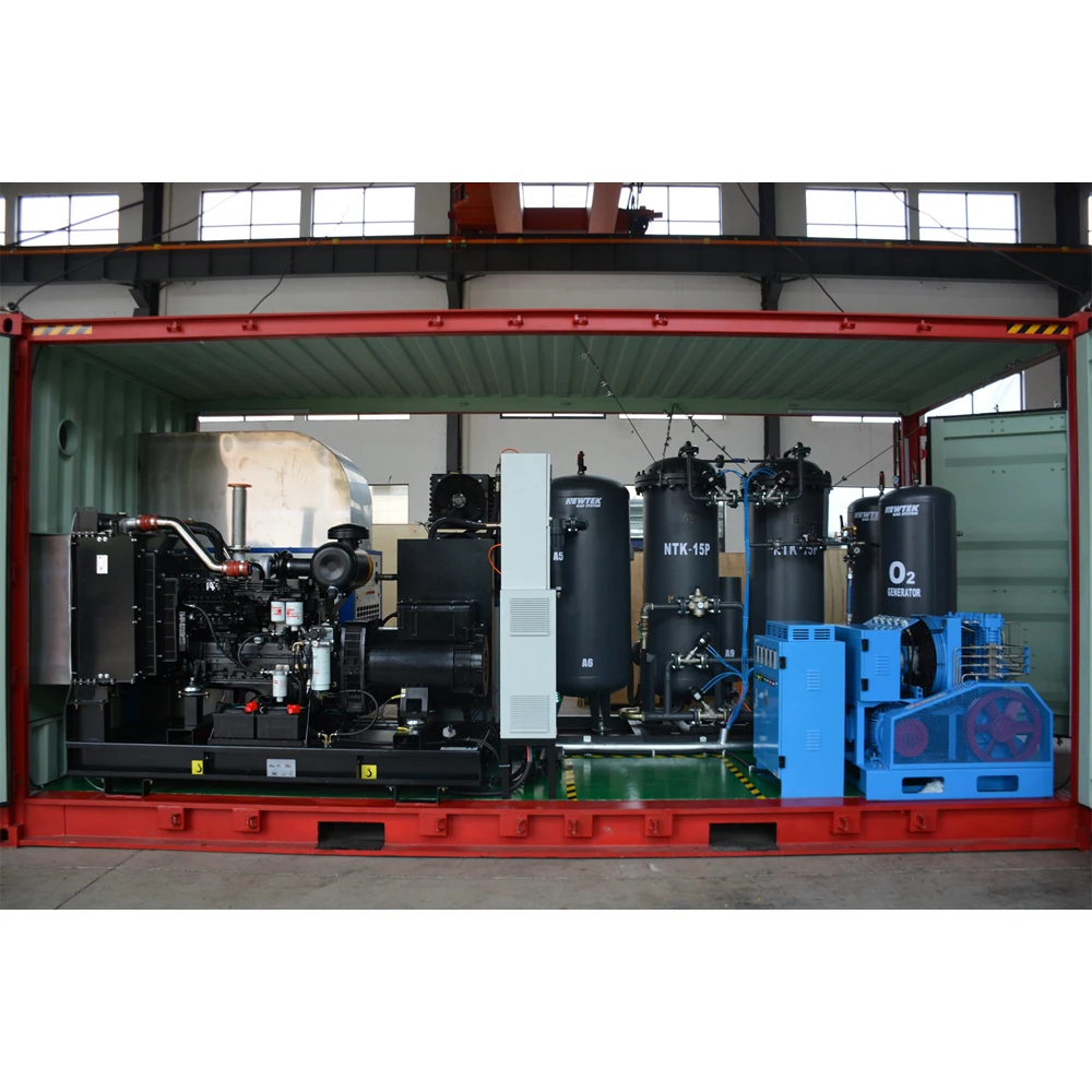 NEWTEK Container Medical Oxygen Generator Portable Oxygen Generation System High Purity