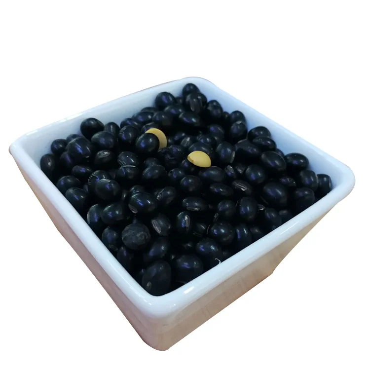 2023 new crop  black soy bean hot sale