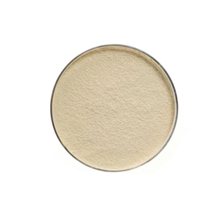 Fast delivery brewer yeast powder feed grade brewers yeast