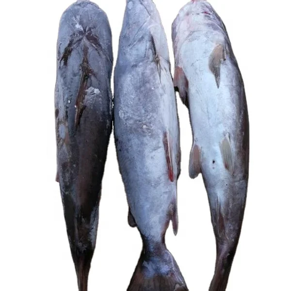 
Good Sale Indonesia Origin Seafood Frozen Sea Catfish 