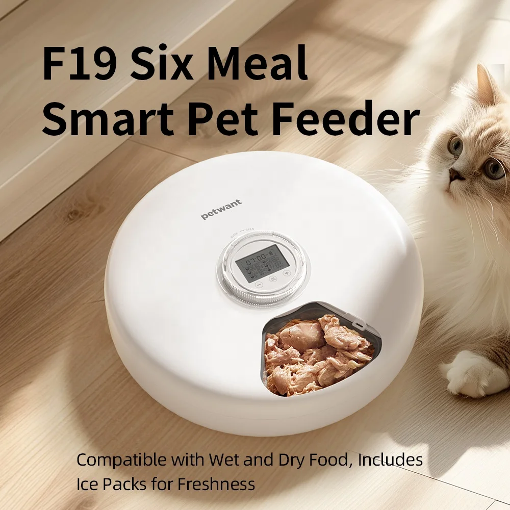 Petwant Wholesale Upgrade Six Meals Automatic Cat Feeder 1200ml Dry Wet Food Pet Bowls Feeders With 2 Ice Packs