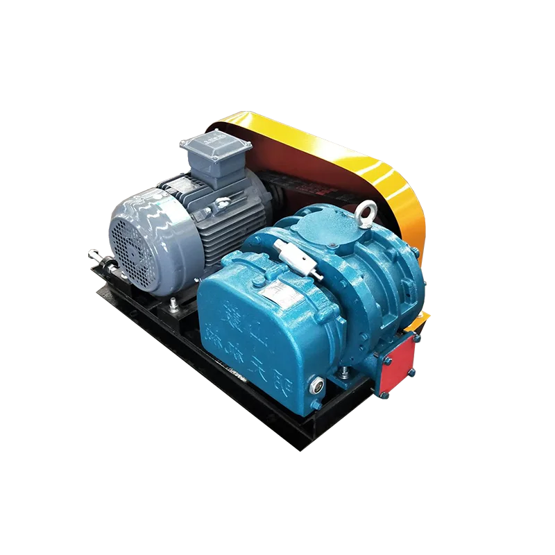 RSR Воздуходувка Рутс Промывка фильтров