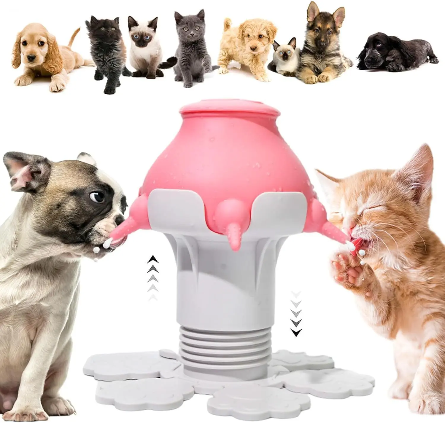 Yongli 240ml Silicone Puppy Milk Feeder Bowl with 4 Teats Puppy Bottles Feeding Station for Feeding Kittens, Puppies and Rabbits