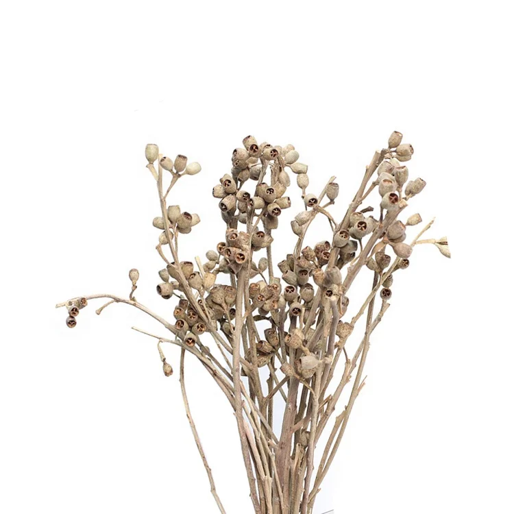
Новое поступление, искусственный цветок эвкалипта, фрукты зомби для украшения рабочего места или ресторана 