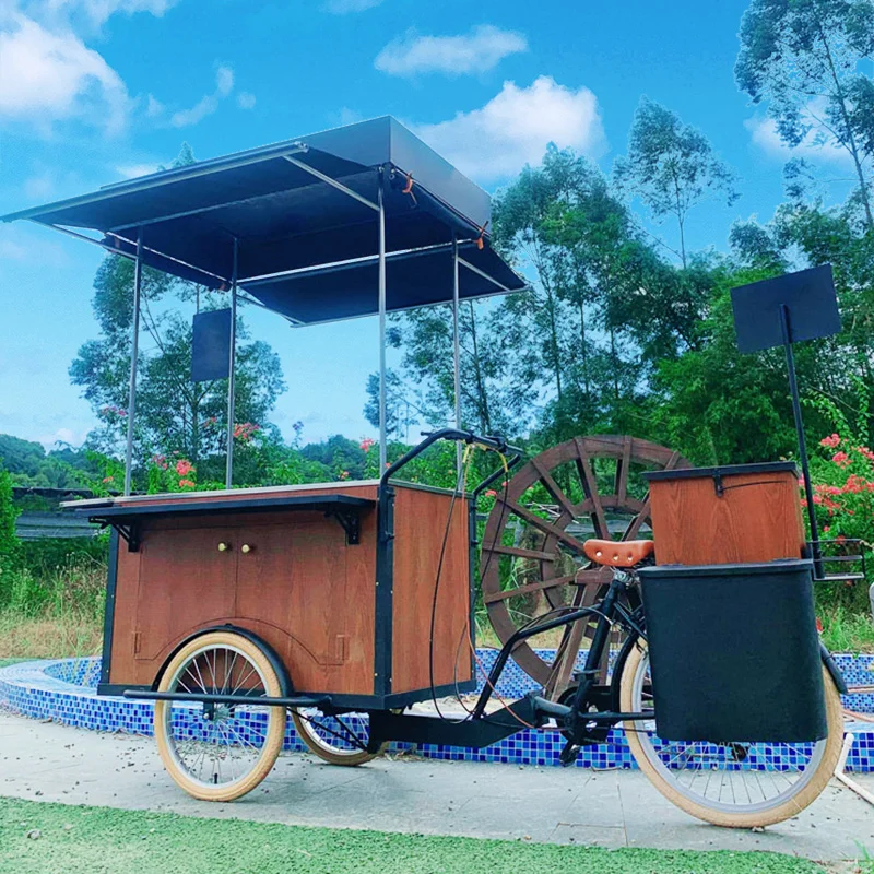 Prosky Mobile 3 Wheel Ice Cream Cargo Bike Electric Solar Vending Tricycles Food Trike Cooler Refrigerator Cart