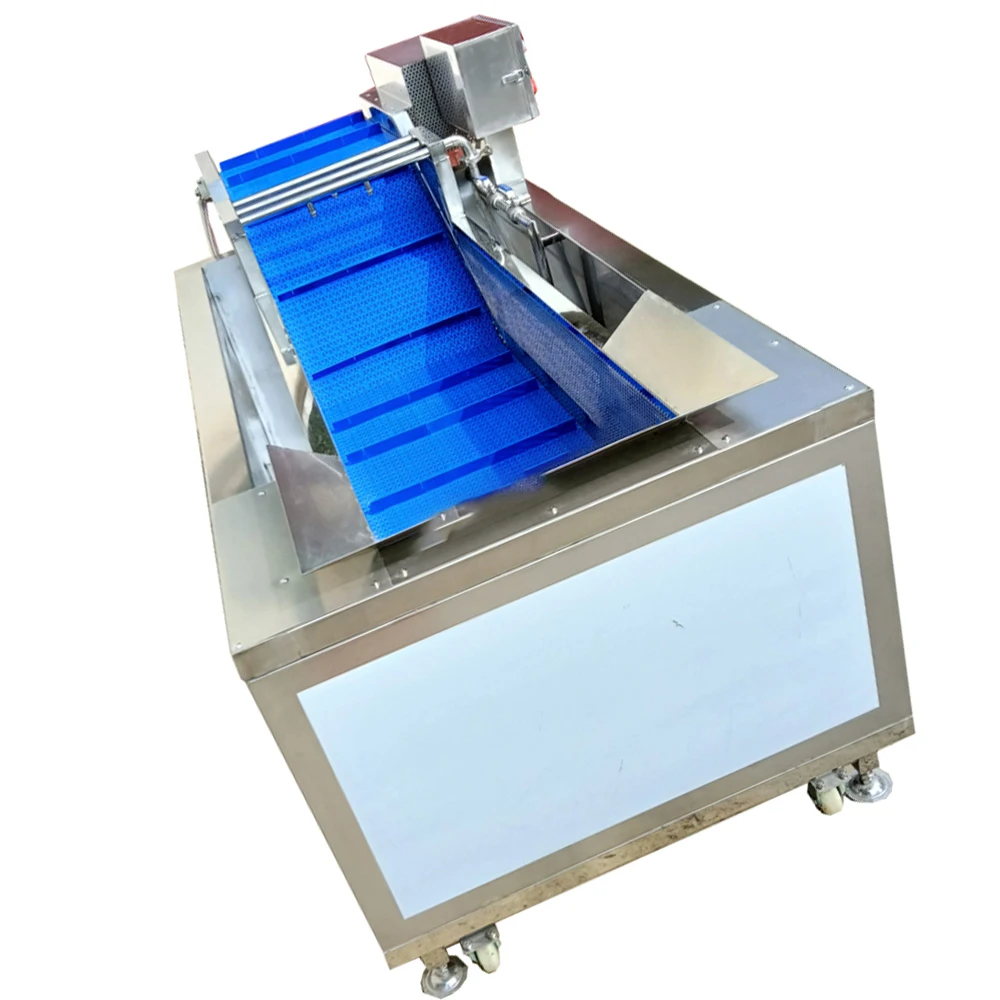 Customizable Automatic Stainless Steel Bubble Ozone washing  Fruit And Vegetable Cleaning Machine