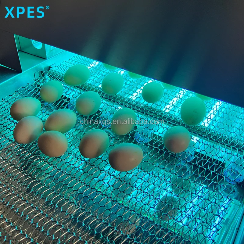 8Kw Food Sterilization Machine for Hibiscus Flower Green Tea Blueberries Different Fruits to Make Tea Filter