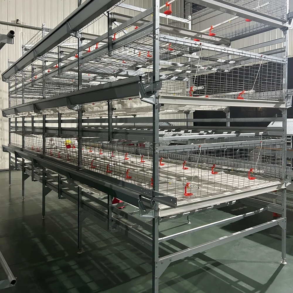 Broiler Poultry Farming Equipment Multitier H Type Automatic Harvesting System Battery Broiler Chicken Cage For Raising Broilers