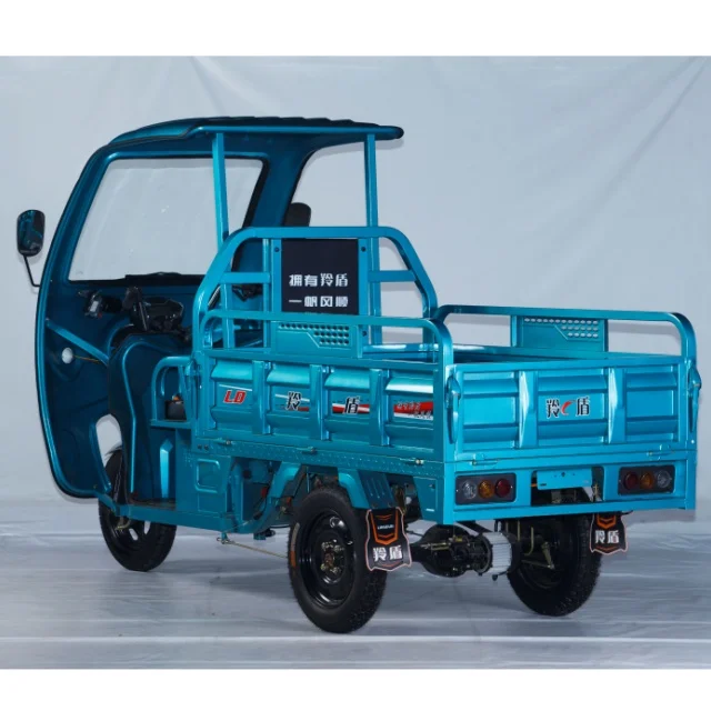 Новый тип Электрический грузовой трехколесный велосипед 60V1000W дисковые тормоза электрические трициклы популярные в Турции