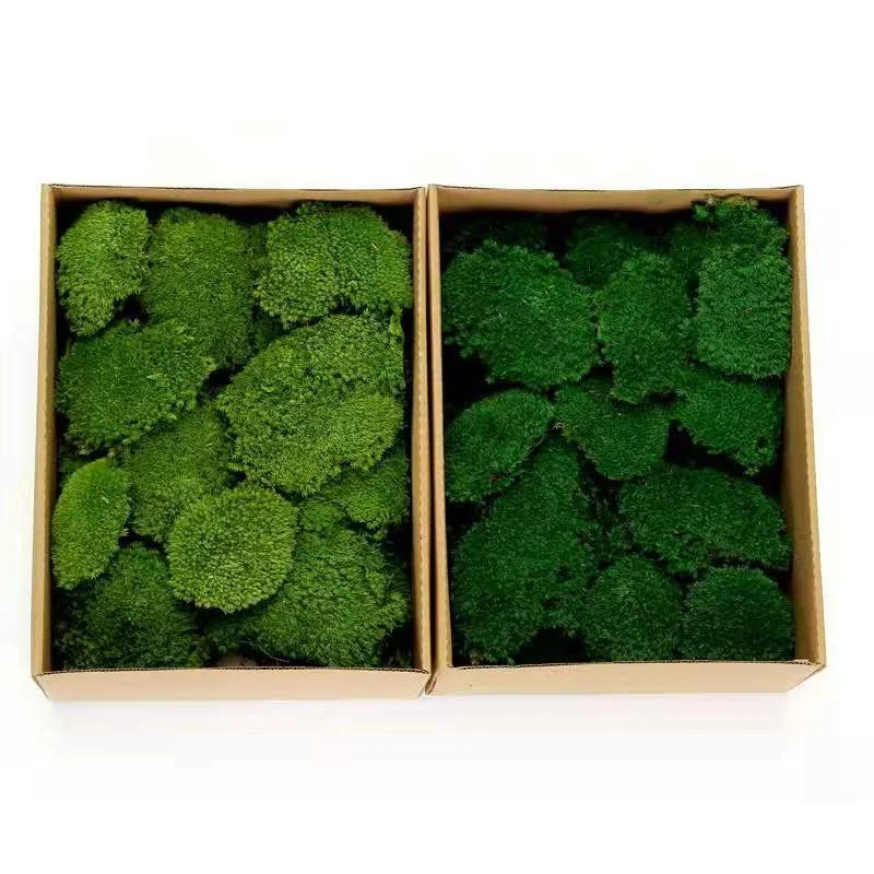 2023 Wholesale Preserved  Moss For Moss Wall Art Decoration