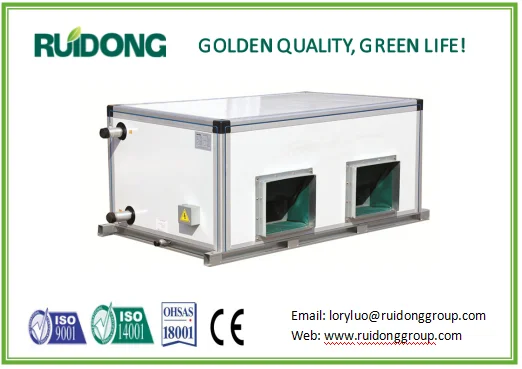 Ruidong Ceiling Type  Industrial air conditioner air handling unit AHU Chiller HVAC system