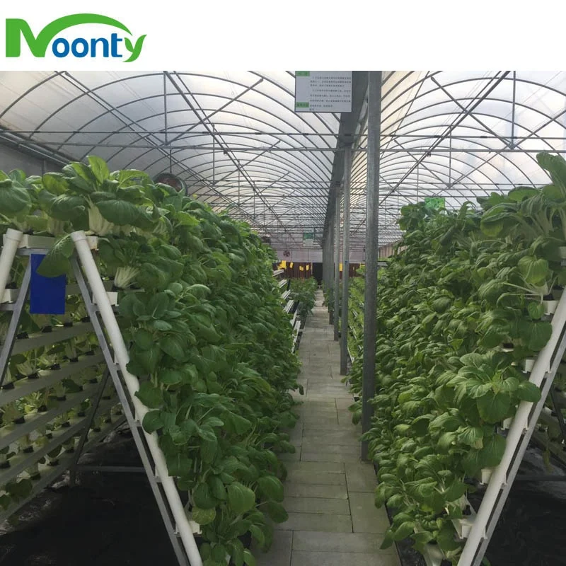 Space Saving Vertical NFT Hydroponics Planting System for Lettuce Herb Tomato