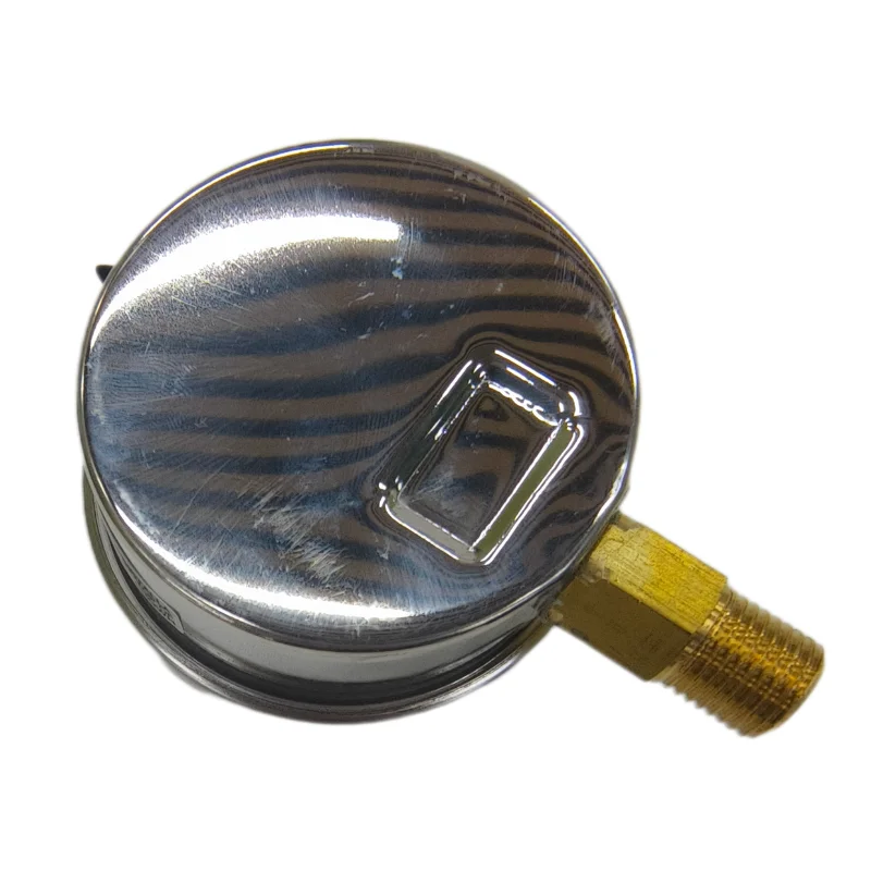 Stainless steel Industrial high accuracy glycerin BSP pressure gauge With glyserine 63/10 bar for agriculture