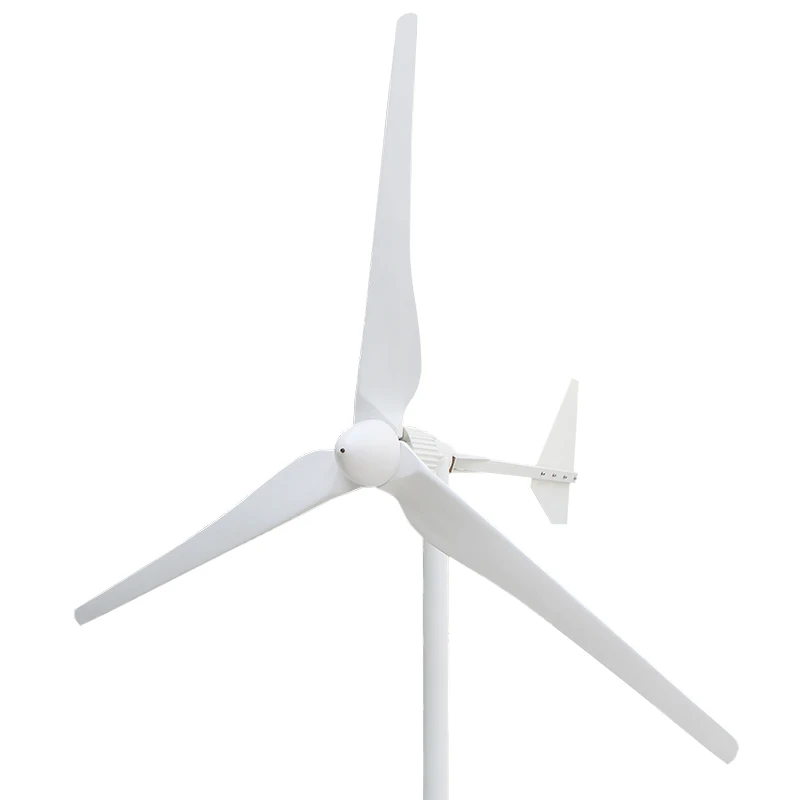 Clearance Sale 2000 Power Wind 1KW 2KW 24V 48V 96V 220V Horizontal Axis Wind Turbine Generator