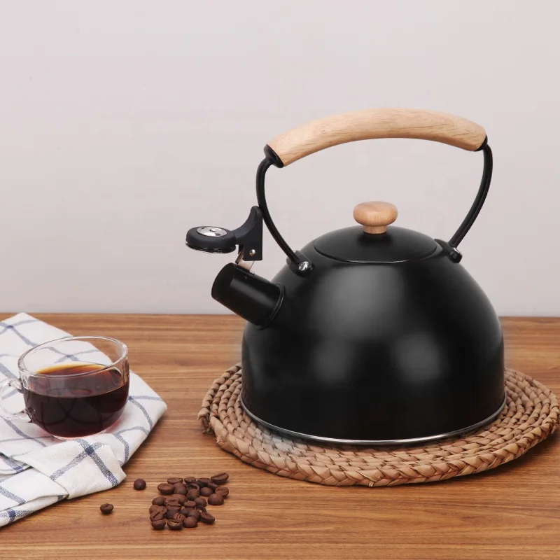 Stainless Steel Tea Pot 2.5L Black Customized Kitchen Restaurant Home Modern Whistling Pots Coffee Whistle Kettle
