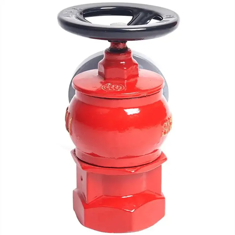 Fire widely used single valve SN65 indoor fire hydrant has inspection report certificate