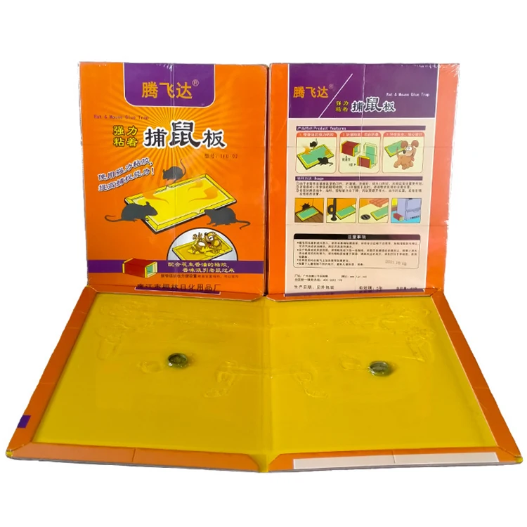 Hot Selling Efficient Rat Killer Bait Station Wholesale Manufacturer Mouse And Rat Catcher Trap Suppliers For Restaurants