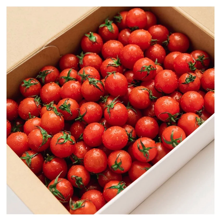 Wholesale health tasty tomatoes shop processing manufacturing