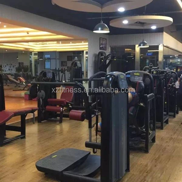 Wholesale Good Quality Commercial Gym equipment fitness Leg Extension