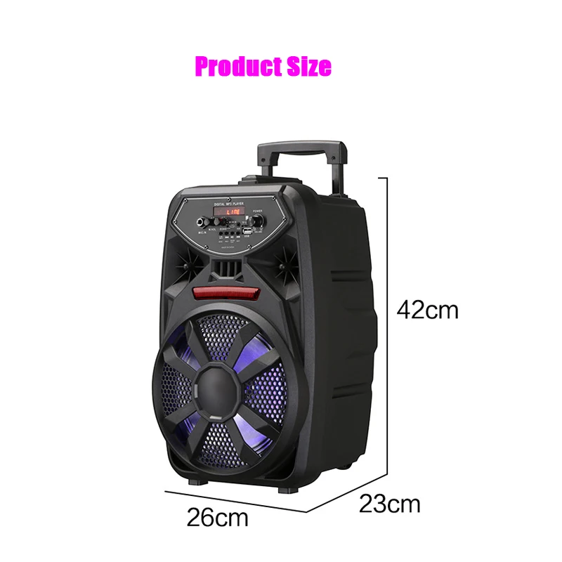 8 inch Subwoofer Outdoor Rechargeable portable Speaker
