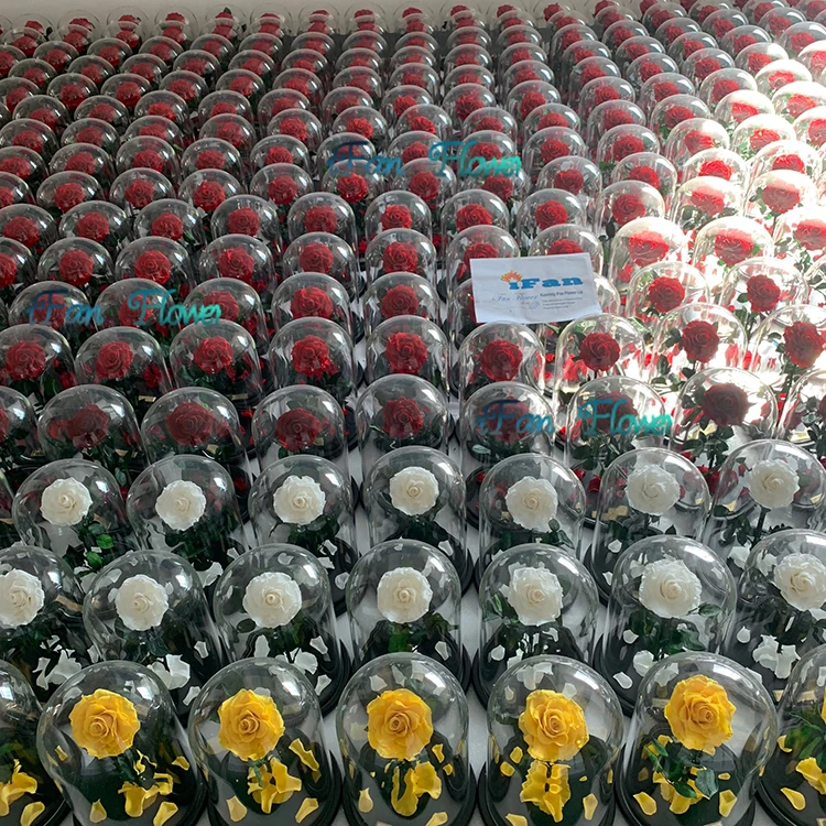 wholesale preserved roses flower in glass dome for national holiday gift fresh cut rose flower