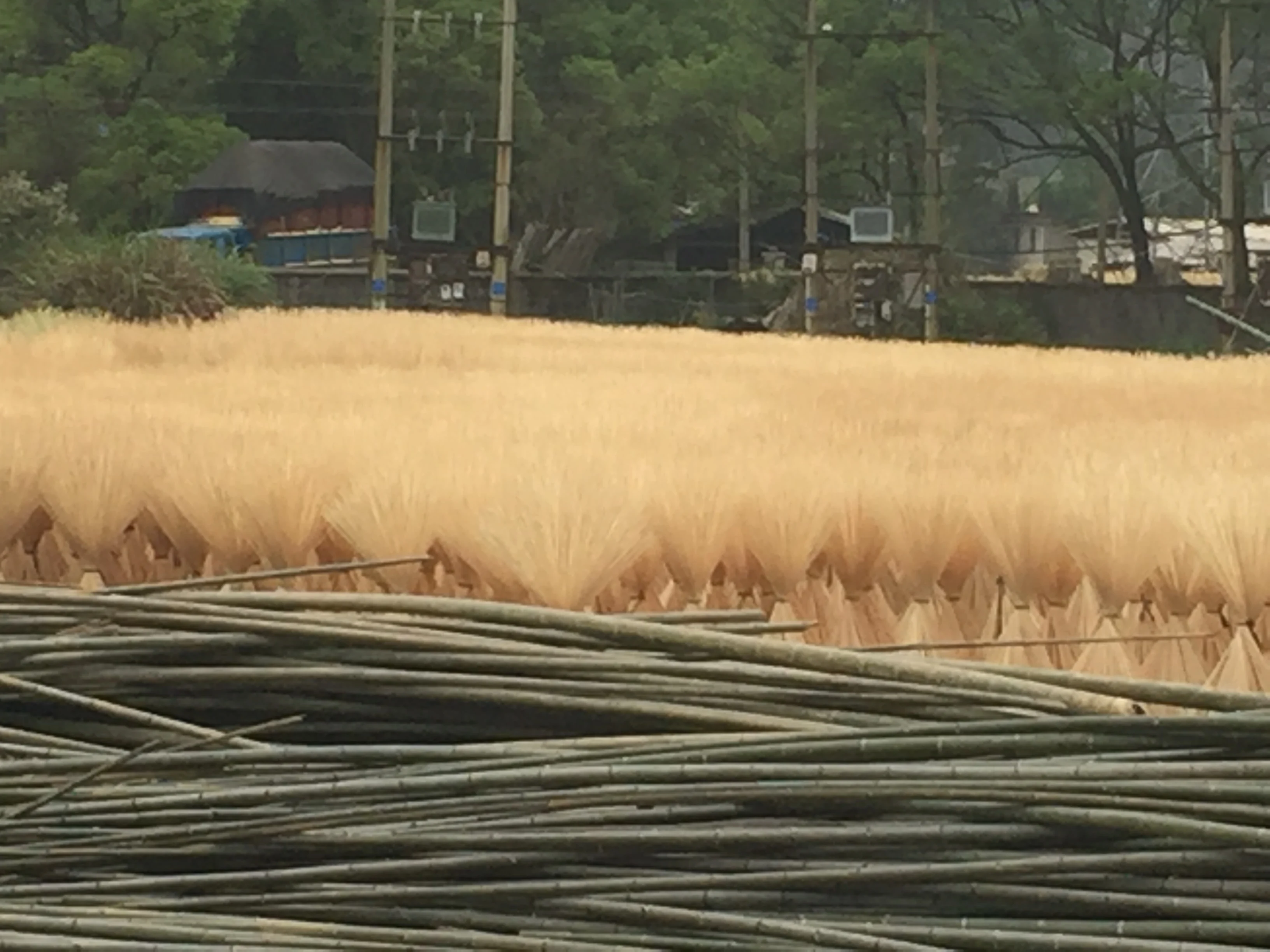 ONE BAMBOO 4.7  Bamboo Skewers Paddle Picks Cocktail Picks for Drinks Food Picks BBQ