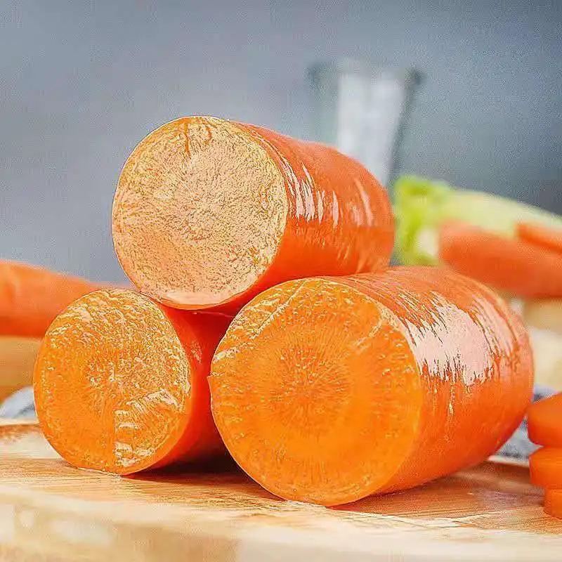Oem quality seasonal vegetables fresh high-quality carrots shandong seasonal carrots