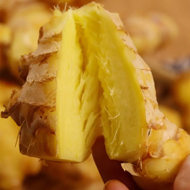 
Sweet Fresh Holland Potato Seeds 2021 Price 