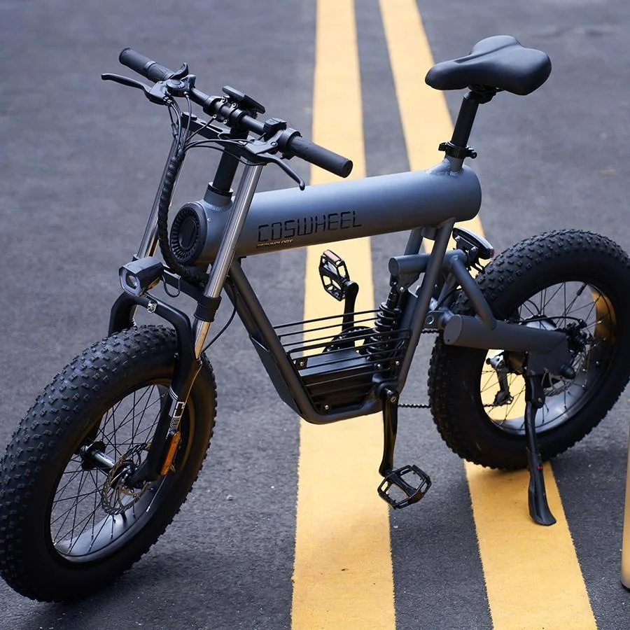 Professional Factory Mountain Bike Motorcycle With Battery Included Electric Bicycle For Adult