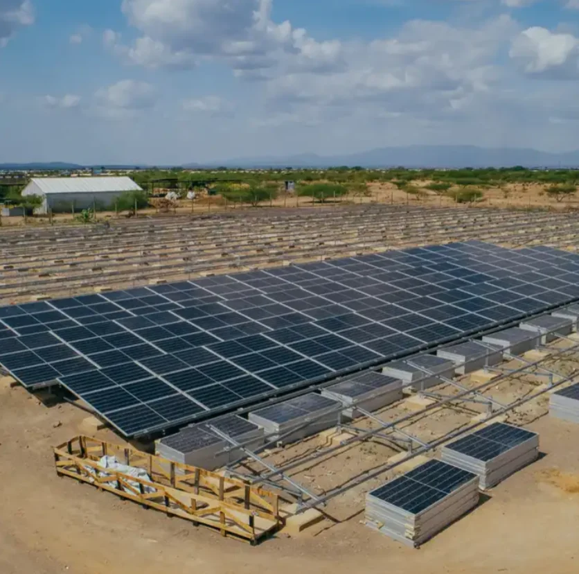 High Strength Carbon Steel Solar Panel Ground Rack System Ground Mounted Structures for Solar Plants Mount