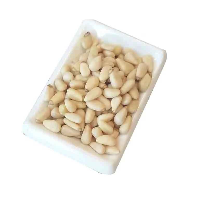 wild red pinenuts kernels without shell cedar pinenuts kernels