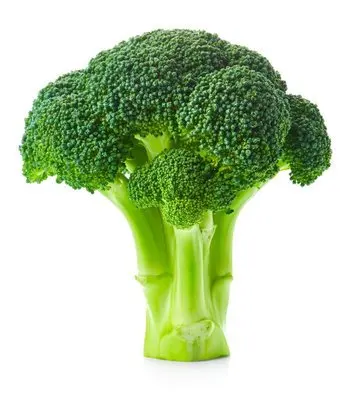 IQF Frozen Vegetable Organic IQF Frozen Broccoli