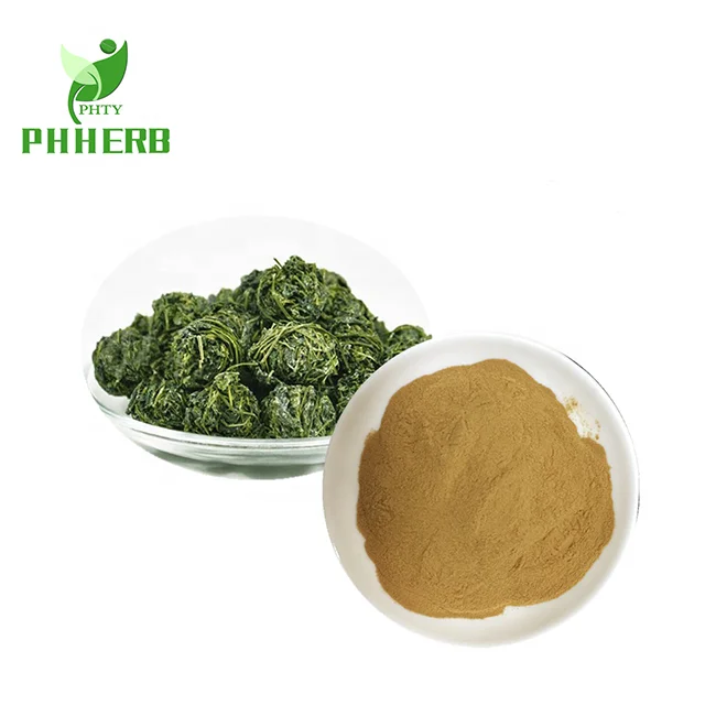 EU standard organic high purity extract powder gynostemma pentaphylla gypenosides 98%