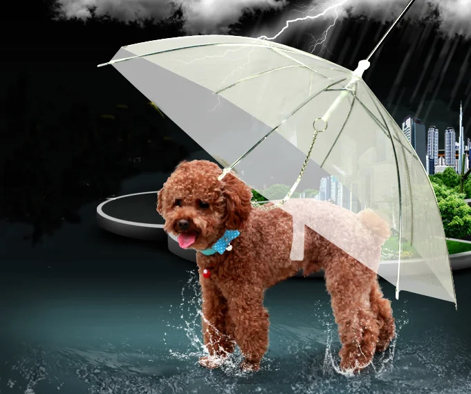 umbrella for dog pet dog umbrella
