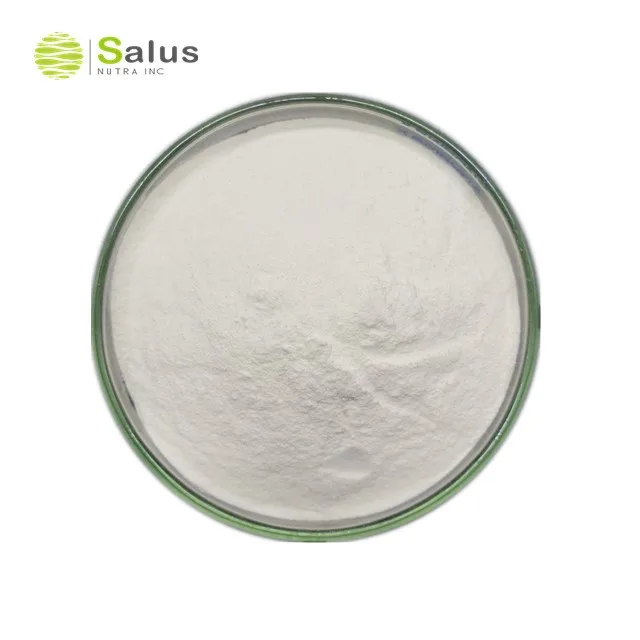 Top Quality Lactobacillus Paracasei