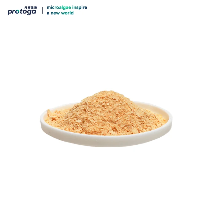 DHA Source Schizochytrium порошок для извлечения сыпучих