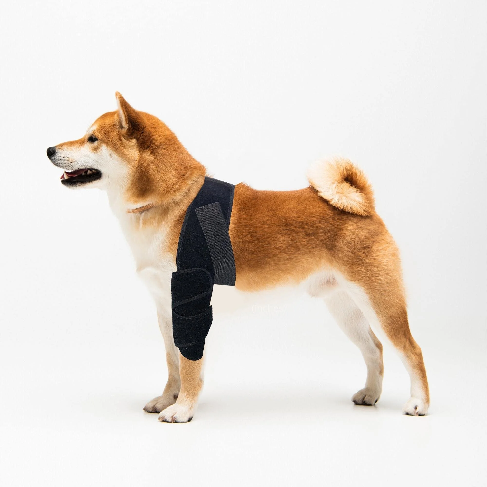 Dog Elbow Brace Protector Pads for Canine Elbow and Shoulder Front Leg Support for Dysplasia, Hygroma Osteoarthritis elbow brace