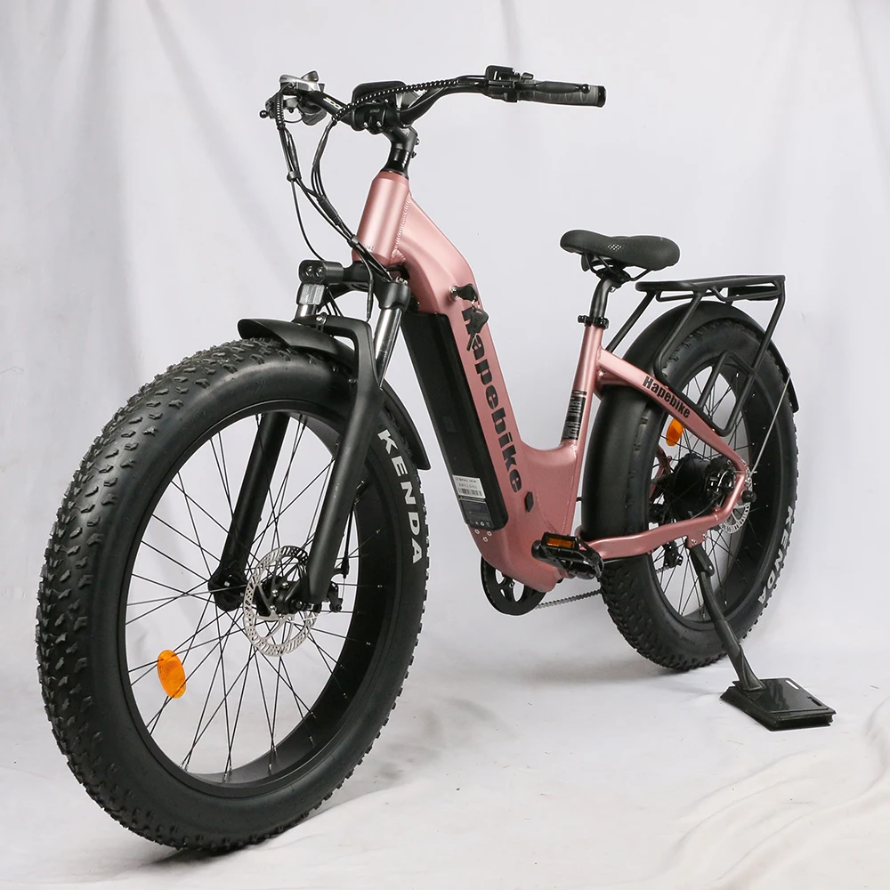48V 20ah lithium battery with dual 500w rear hub motor e bikes electric bicycle   e-bicycle e-bike electric bicycle