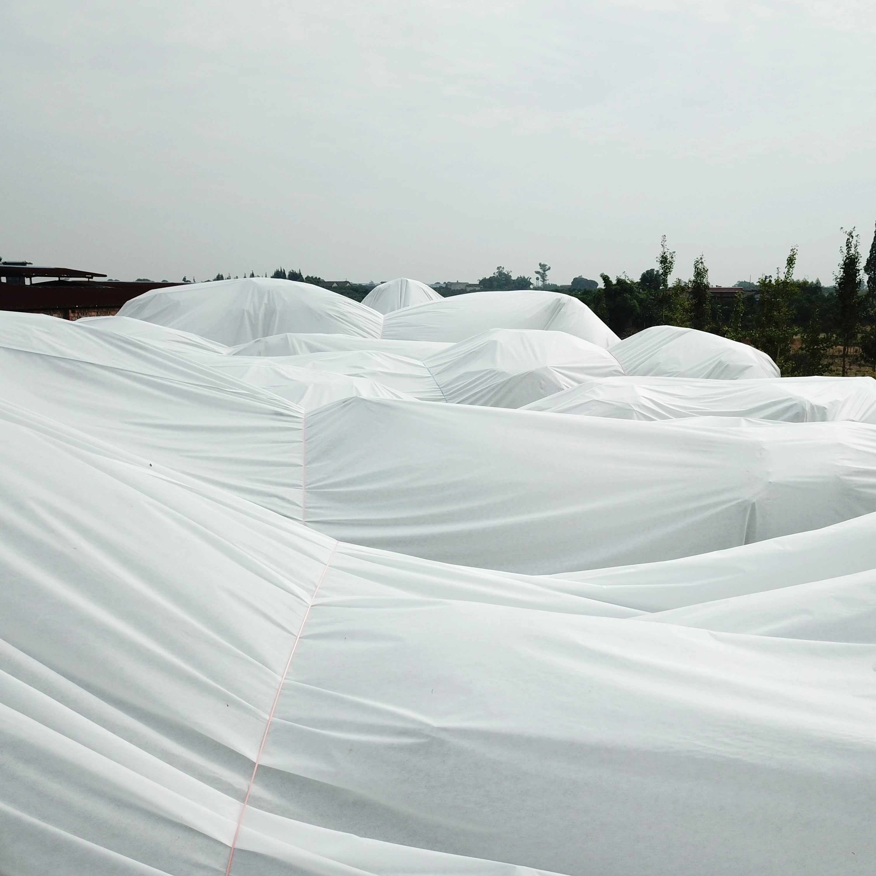Factory Directly Sale High Grade Material Agriculture SS SMS White Non Woven Fabric For Winter Plant Cover