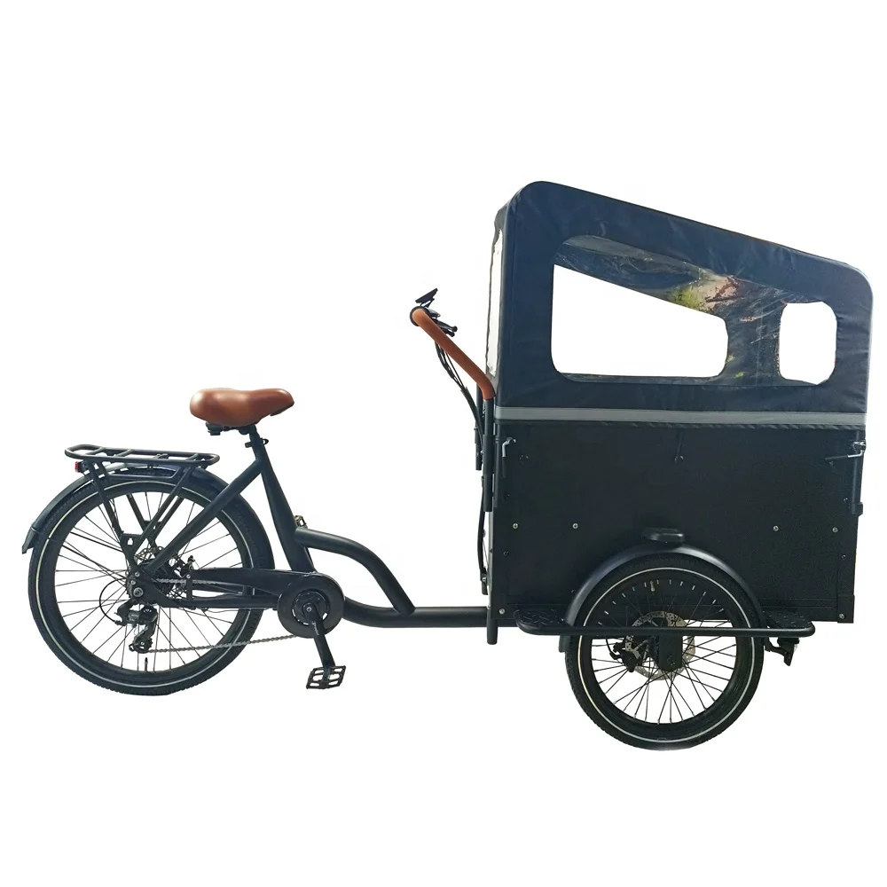 350W 36V 14AH electric pedicab 3 wheel electric bike tricycle with front wooden box