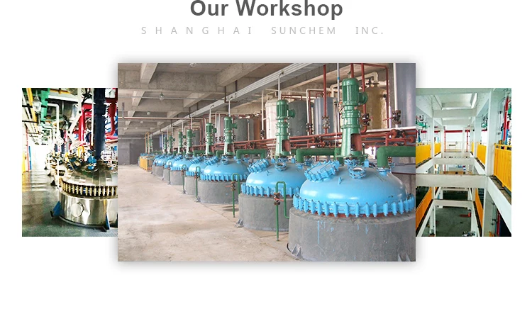 6-3Company Information.jpg