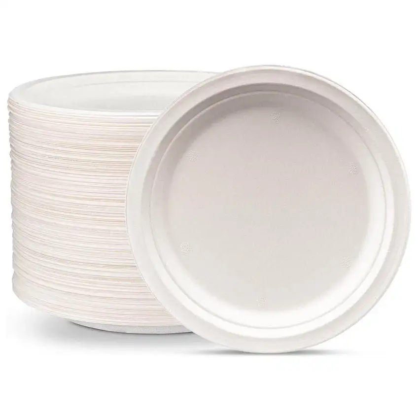 Selling Sugarcane Plates Production Line Bagasse Plate Machine  Wedding Plates Disposable Set