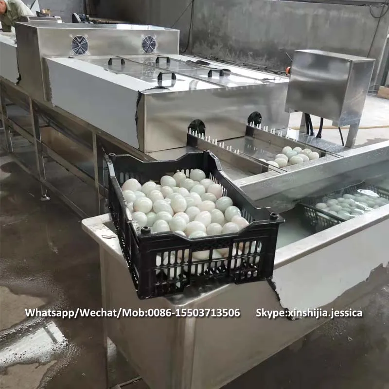 Big capacity commercial stainless steel automatic poultry chicken goose  salted duck egg cleaner