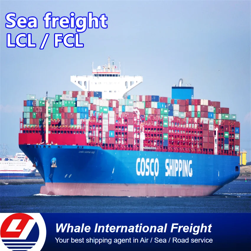 Морской грузовой агент, служба доставки в Южную Африку, судовой агент из Китая