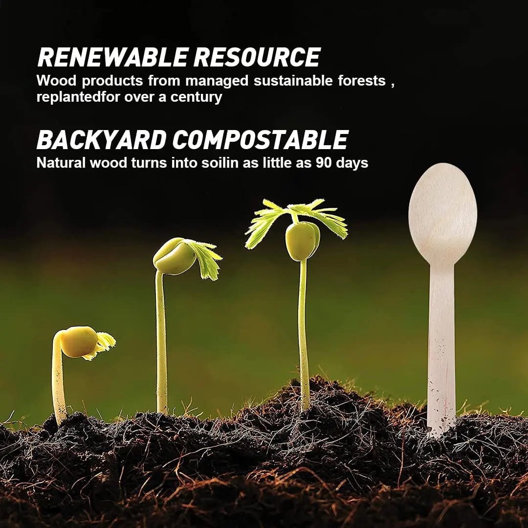 Wooden Cutlery Set7.jpg